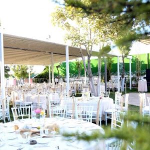 Risus-Wedding (6)