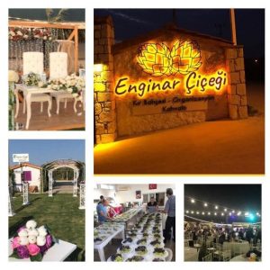 Enginar Çiçeği Kır Düğün Fiyatları Çeşme İzmir