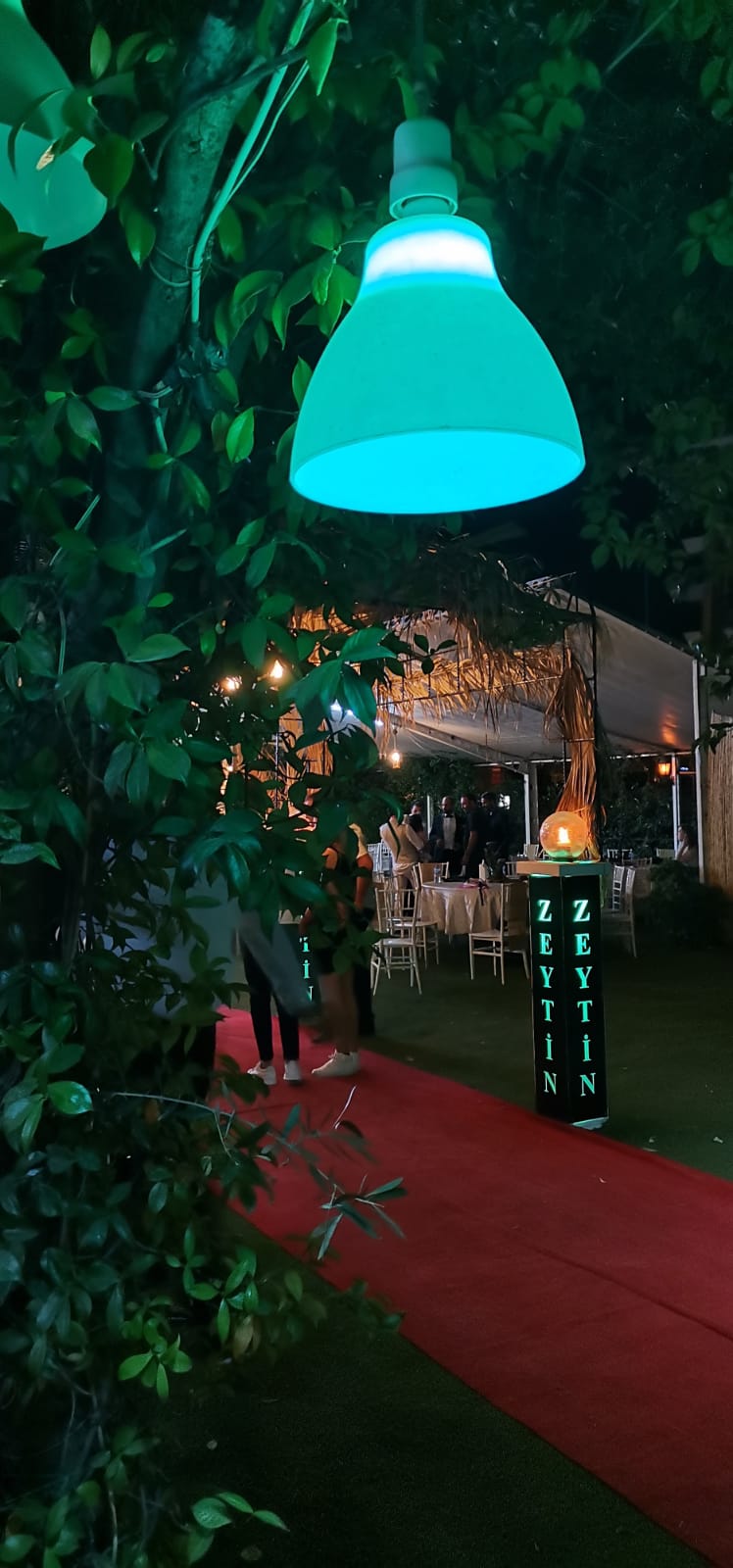 Kokteylli Davetlerde Salon + Organizasyon Sadece 25.000 TL’den Başlayan Fiyatlarla! – Zeytin Kır Düğün Bahçesi